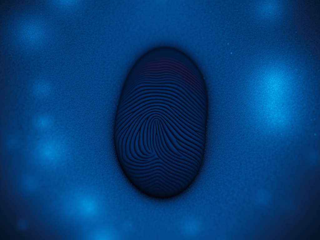 Symmetric Group Algorithms